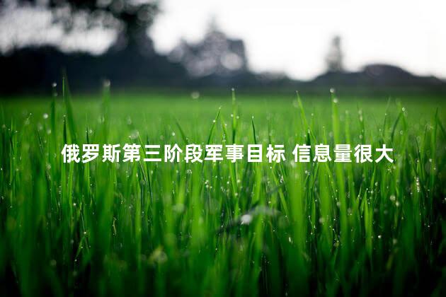 俄罗斯第三阶段军事目标 信息量很大